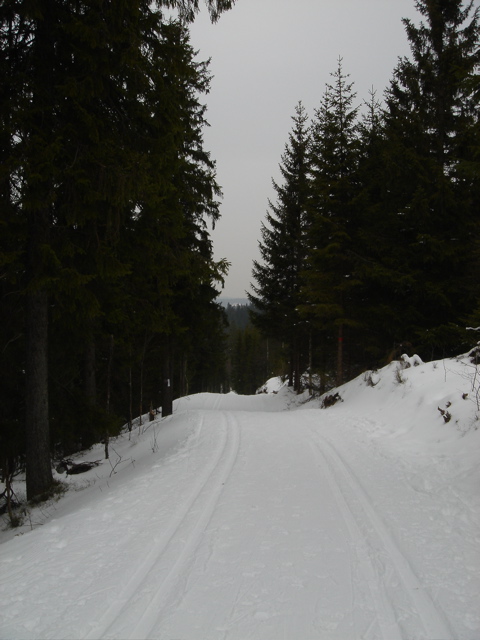 DSC00240.JPG